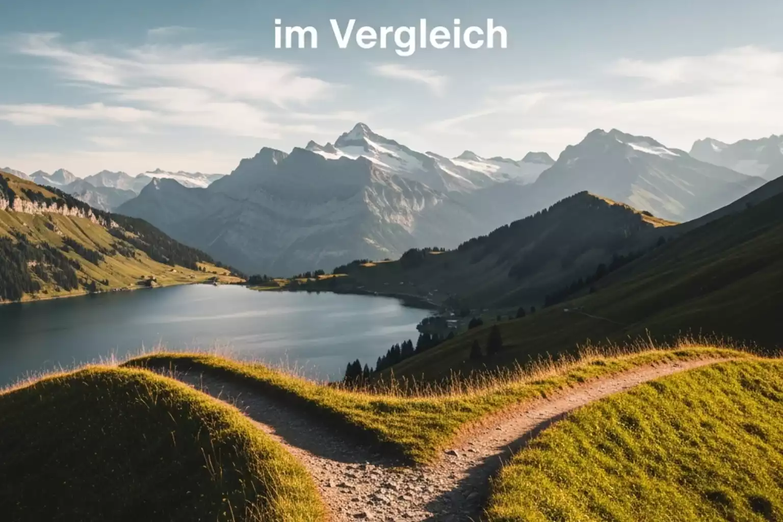 Schweizer Landschaft mit symbolischer Darstellung von Auswahl und Entscheidung